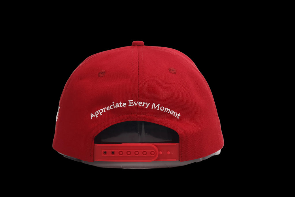RED "SCRIPT LOGO" HAT